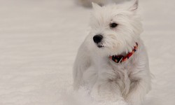 IMG_7895